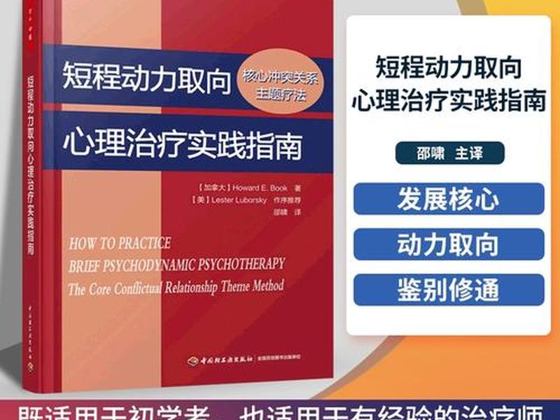 动力取向心理治疗案例(动力取向心理治疗的有效性) 动力取向心理治疗案例(动力取向心理治疗的有效性)