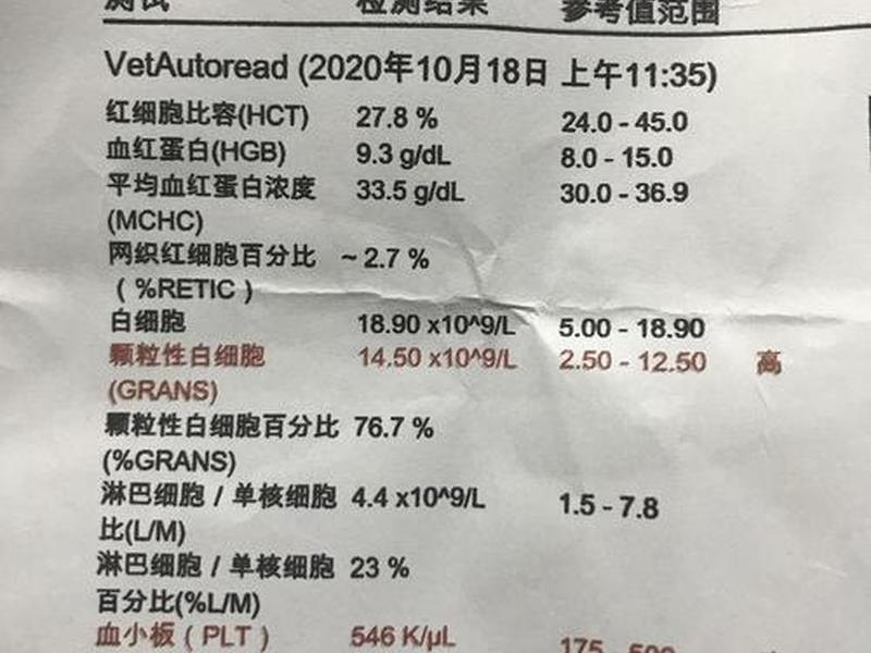 大学生人际诊断结果解读 - 大学生人际诊断结果解读怎么写 大学生人际诊断结果解读 - 大学生人际诊断结果解读怎么写