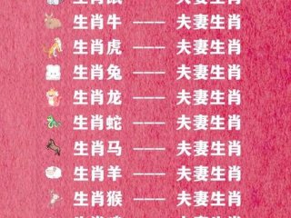 人际关系比较好的生肖 人际关系比较好的生肖女