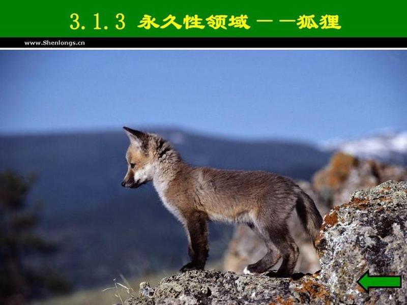 人的领域性举例说明（人的领域性举例说明了什么）