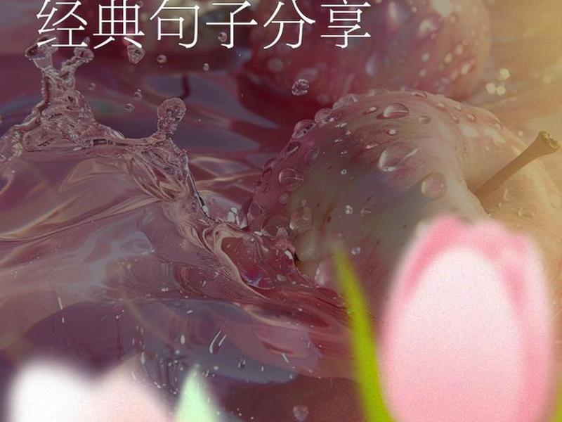 关系疏远的句子说说 关系疏远的句子说说短句 关系疏远的句子说说 关系疏远的句子说说短句