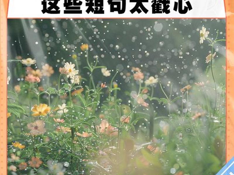 关于被人欺骗的说说 关于被人欺骗的说说心情短语 关于被人欺骗的说说 关于被人欺骗的说说心情短语