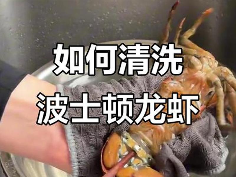 大龙虾如何处理干净（大龙虾怎么弄干净）