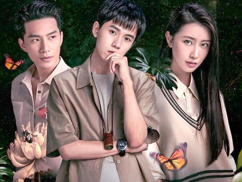 《破茧》结局(《破茧》结局揭秘) 《破茧》结局(《破茧》结局揭秘)
