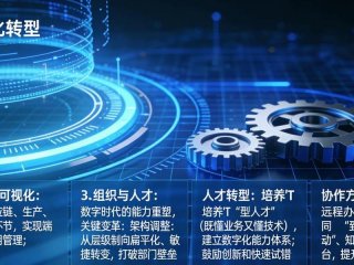 国家层面的数智化；国家数字化是什么意思