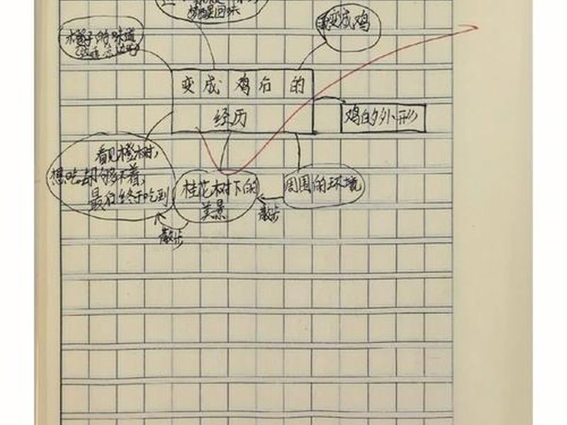 变形记结构示意图;变形记结构示意图怎么画 变形记结构示意图;变形记结构示意图怎么画