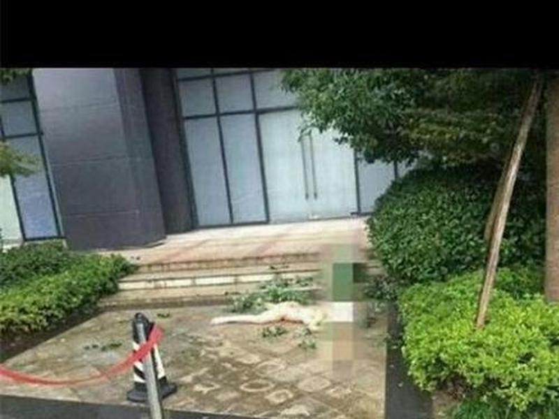 女星任娇坠楼真相大白,女星任娇坠楼真相大白视频 女星任娇坠楼真相大白,女星任娇坠楼真相大白视频