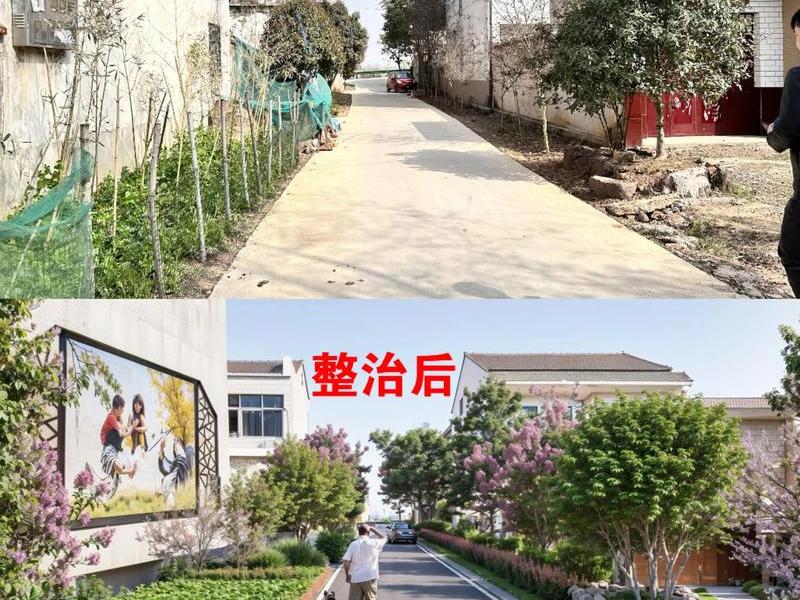农村的人居环境整治始于2018年 2017农村人居环境整治 农村的人居环境整治始于2018年 2017农村人居环境整治