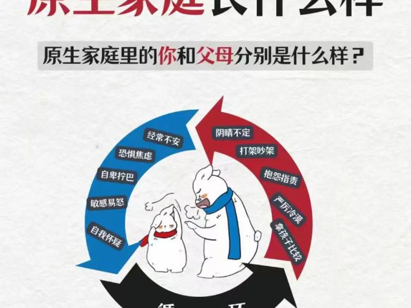 从父母关系看原生家庭(从父母关系看原生家庭关系) 从父母关系看原生家庭(从父母关系看原生家庭关系)