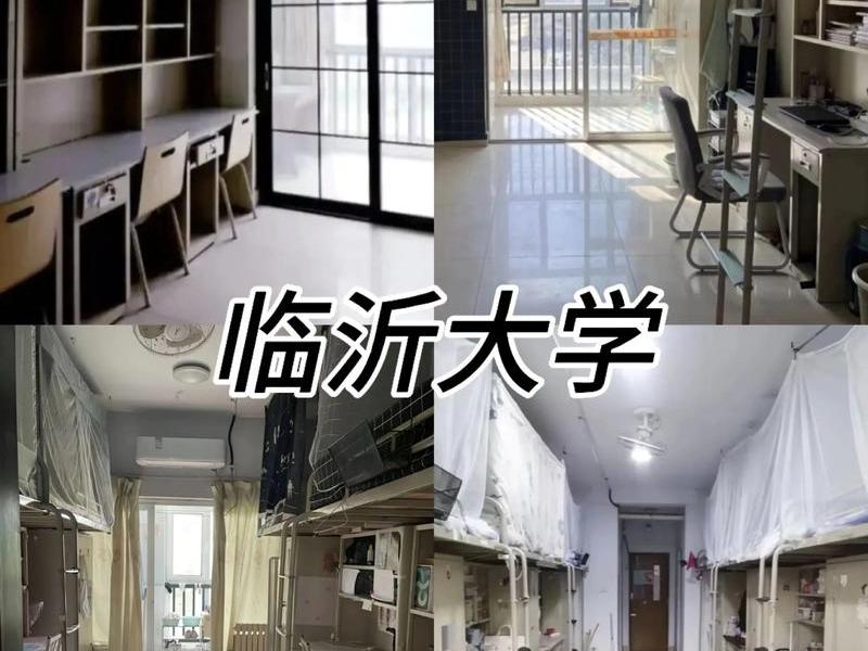大学生寝室关系调查、大学生寝室关系调查内容