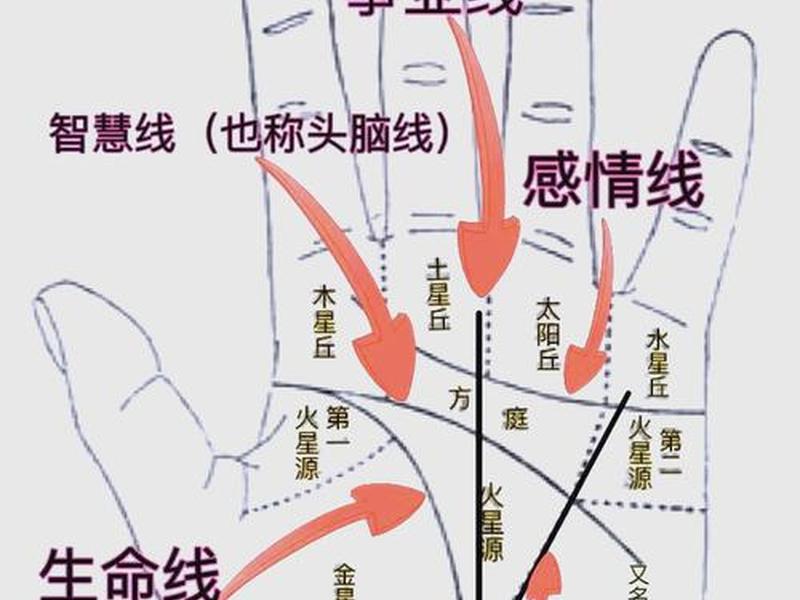 人的手掌线 人的手掌线命 人的手掌线 人的手掌线命