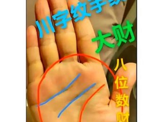 人的手掌线 人的手掌线命