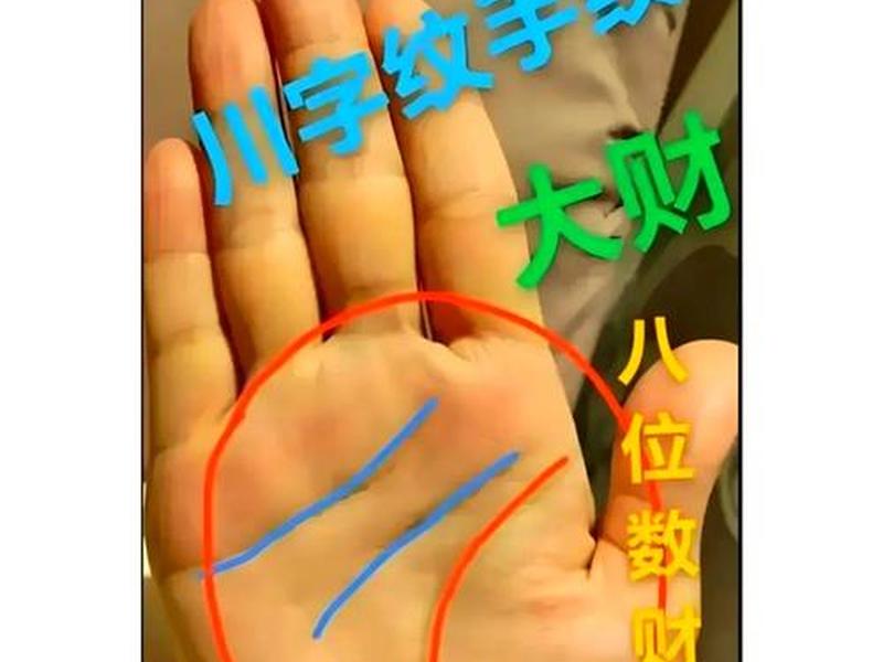 人的手掌线 人的手掌线命 人的手掌线 人的手掌线命