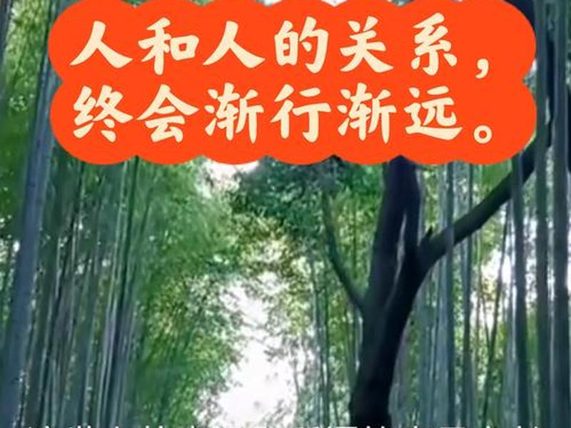 人和人之间关系现实的句子(人和人之间关系现实的句子图片) 人和人之间关系现实的句子(人和人之间关系现实的句子图片)