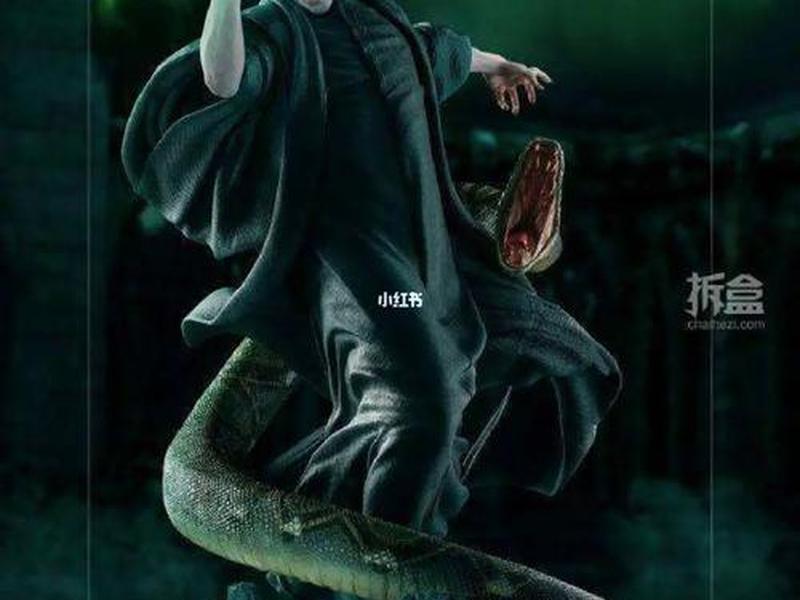 伏地魔情感取向 - 伏地魔感情线 伏地魔情感取向 - 伏地魔感情线