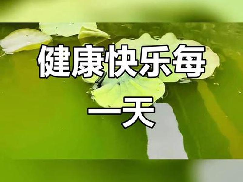 健康快乐解释、健康快乐解释是什么 健康快乐解释、健康快乐解释是什么