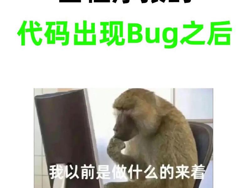 bug指的什么，bug指的是什么