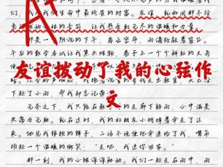 关于友谊的新颖题材（关于友谊的新颖题材作文）