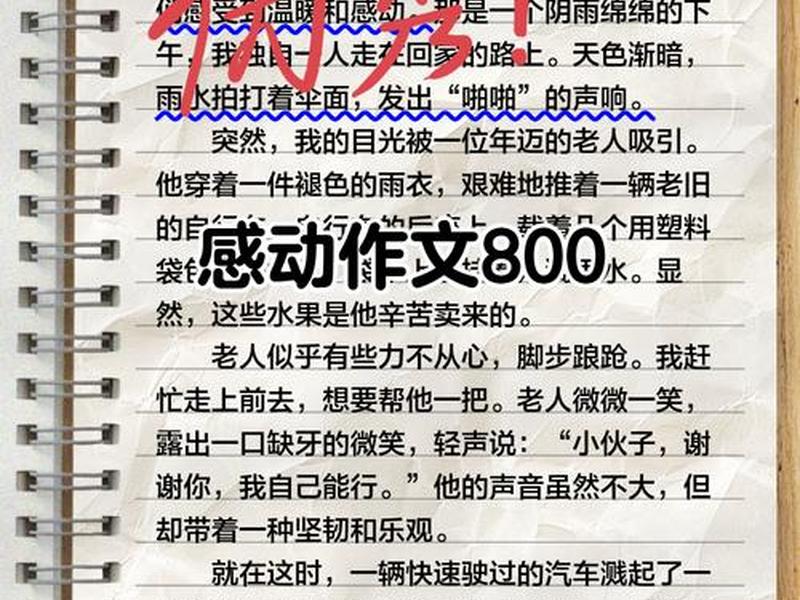 处理好人际关系的作文800字(处理好人际关系的作文800字怎么写) 处理好人际关系的作文800字(处理好人际关系的作文800字怎么写)