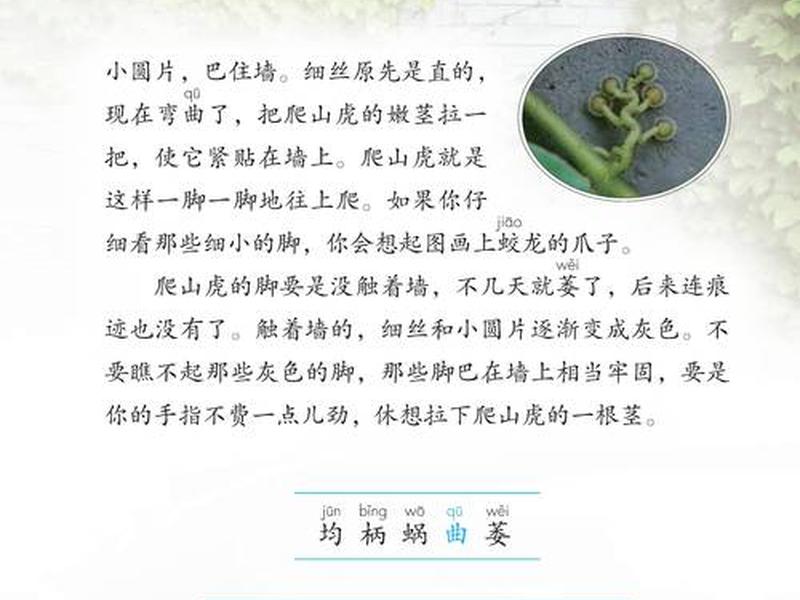 2020人教版四年级语文教材电子版;2020年四年级上册语文人教版电子书 2020人教版四年级语文教材电子版;2020年四年级上册语文人教版电子书