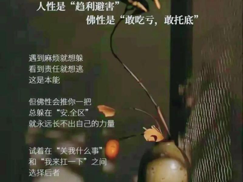 佛教不爱搞人际关系的原因(佛教不爱搞人际关系的原因是什么) 佛教不爱搞人际关系的原因(佛教不爱搞人际关系的原因是什么)