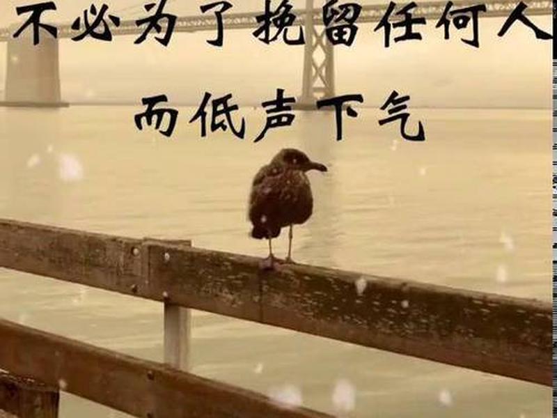 低声下气什么意思 低声下气什么意思? 低声下气什么意思 低声下气什么意思?