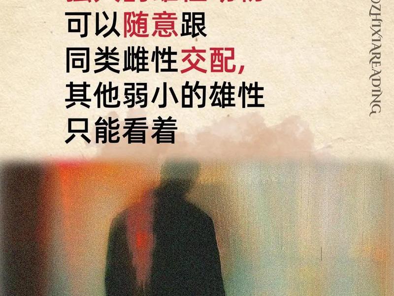 人际关系4个被低估的人性，人际关系4个被低估的人性观念