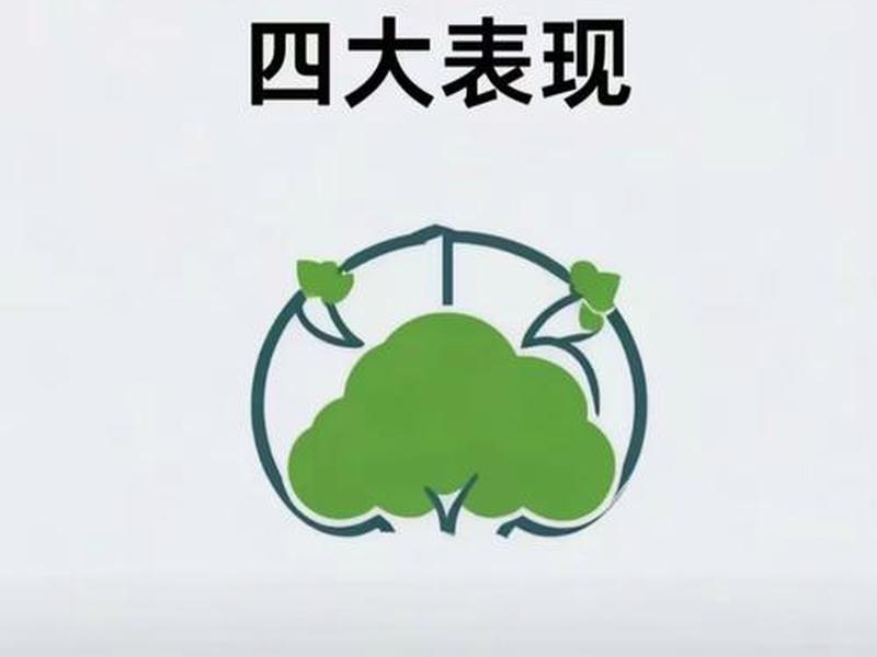 内向自卑没主见的人怎么改变 - 内向自卑没主见的人怎么改变自己 内向自卑没主见的人怎么改变 - 内向自卑没主见的人怎么改变自己